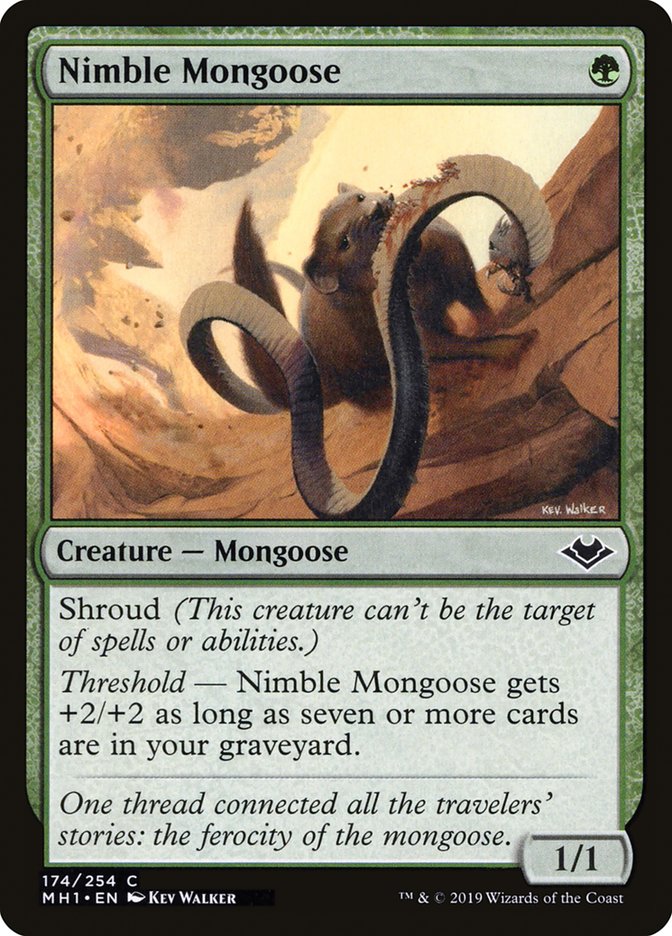 Nimble Mongoose [Modern Horizons] | Rock City Comics