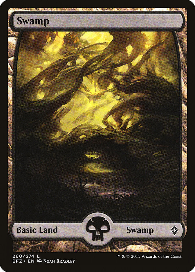 Swamp (260) (Full Art) [Battle for Zendikar] | Rock City Comics