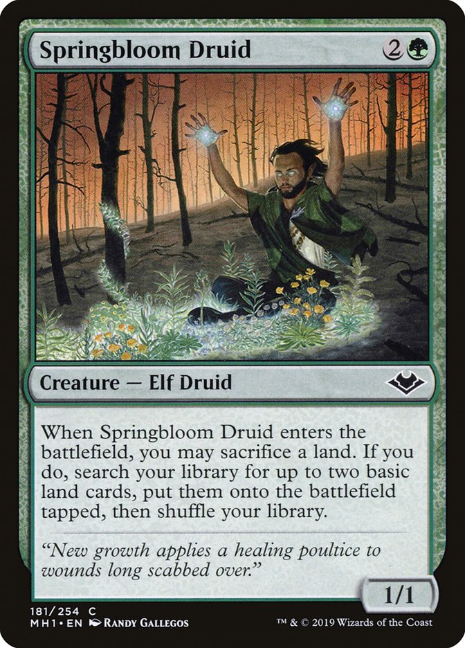 Springbloom Druid [Modern Horizons] | Rock City Comics