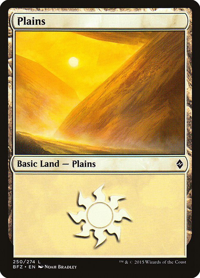 Plains (250) [Battle for Zendikar] | Rock City Comics