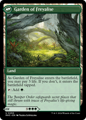 Disciple of Freyalise [Modern Horizons 3] | Rock City Comics