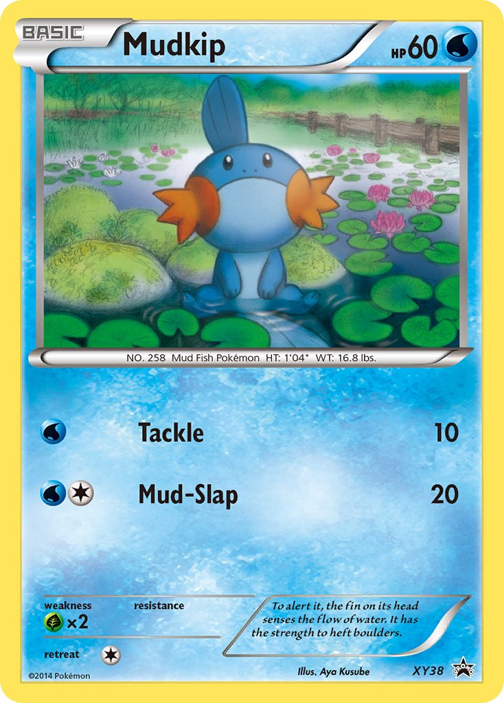 Mudkip (XY38) [XY: Black Star Promos] | Rock City Comics