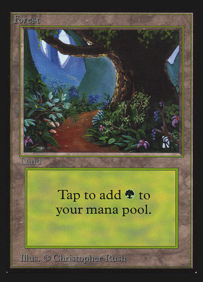 Forest (Flower Path) [Collectors' Edition] | Rock City Comics