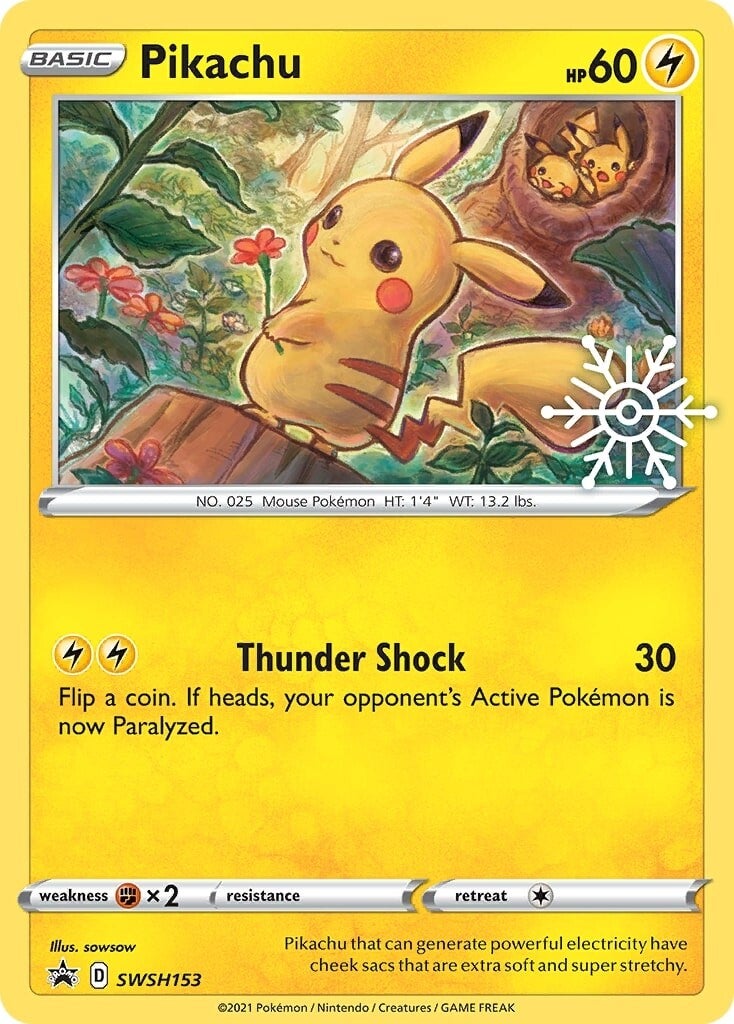 Pikachu (SWSH153) (Holiday Calendar) [Sword & Shield: Black Star Promos] | Rock City Comics