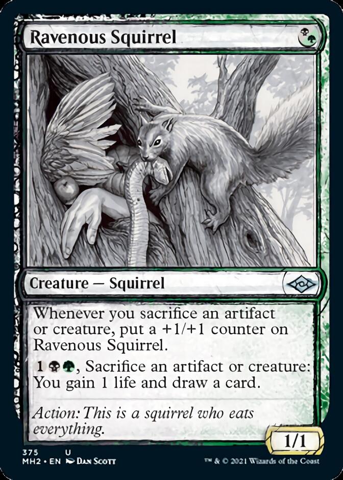 Ravenous Squirrel (Sketch) [Modern Horizons 2] | Rock City Comics