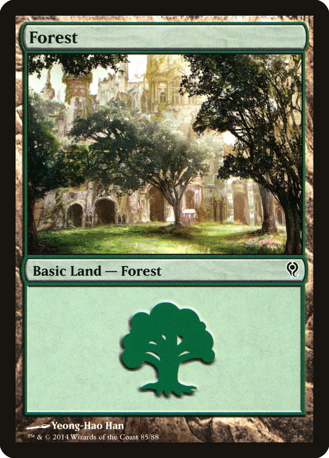 Forest (85) [Duel Decks: Jace vs. Vraska] | Rock City Comics