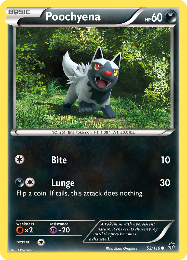 Poochyena (53/119) [XY: Phantom Forces] | Rock City Comics