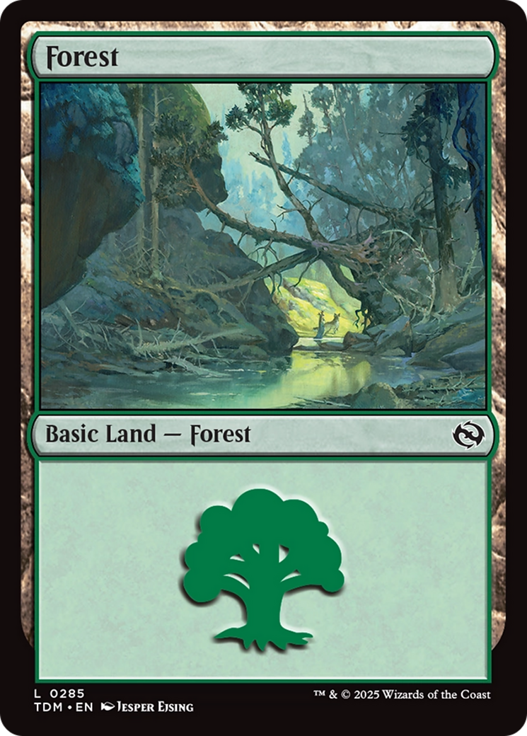 Forest (0285) [Tarkir: Dragonstorm] | Rock City Comics