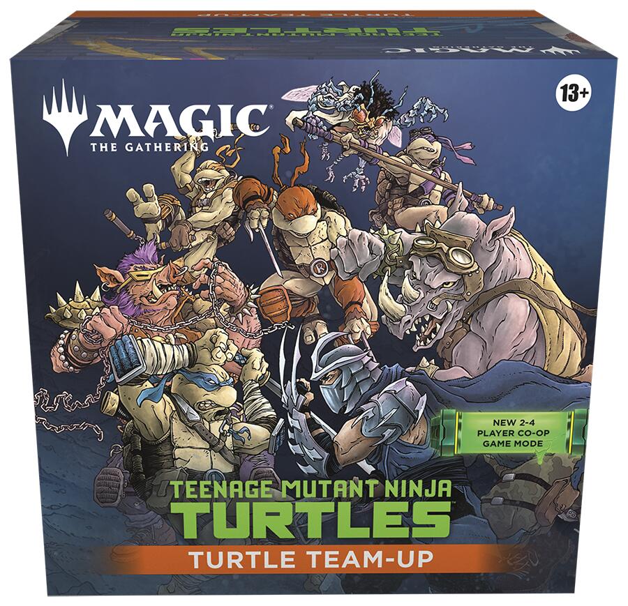Teenage Mutant Ninja Turtles - Turtle Team-Up | Rock City Comics