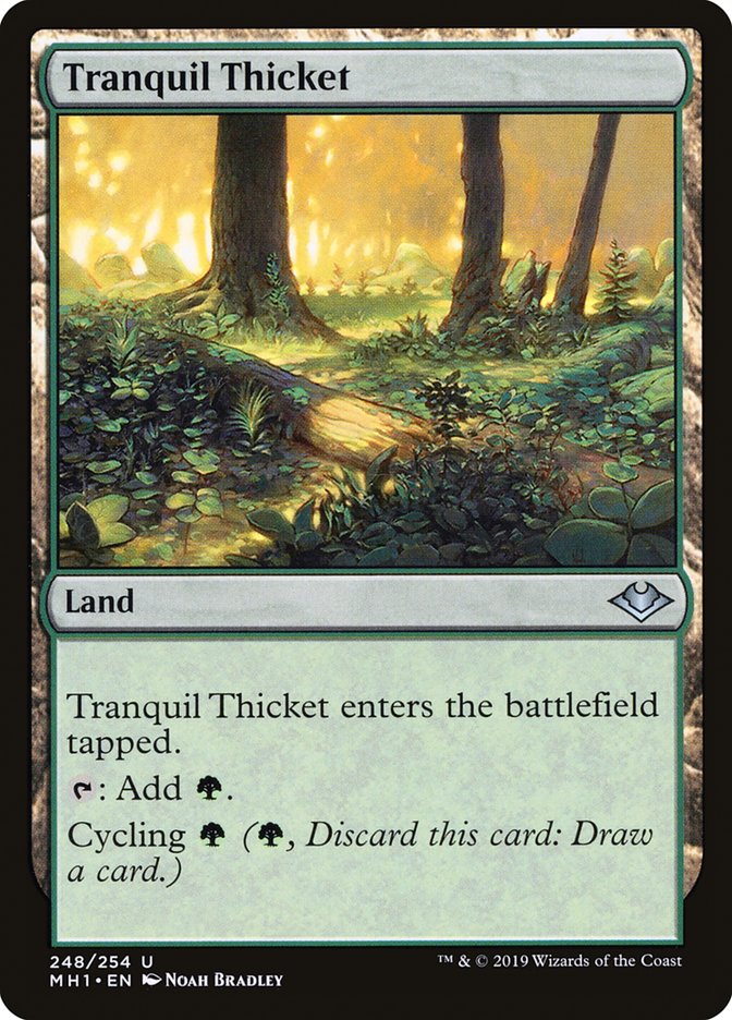 Tranquil Thicket [Modern Horizons] | Rock City Comics