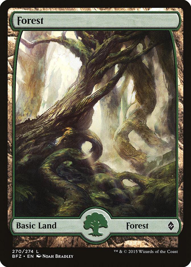 Forest (270) (Full Art) [Battle for Zendikar] | Rock City Comics