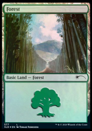 Forest (Walls) (577) [Secret Lair Drop Promos] | Rock City Comics