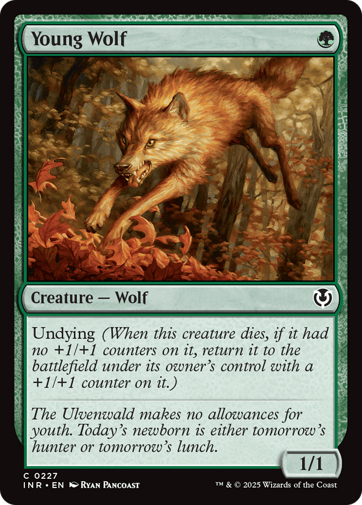 Young Wolf [Innistrad Remastered] | Rock City Comics