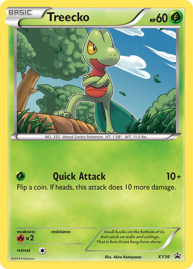 Treecko (XY36) [XY: Black Star Promos] | Rock City Comics