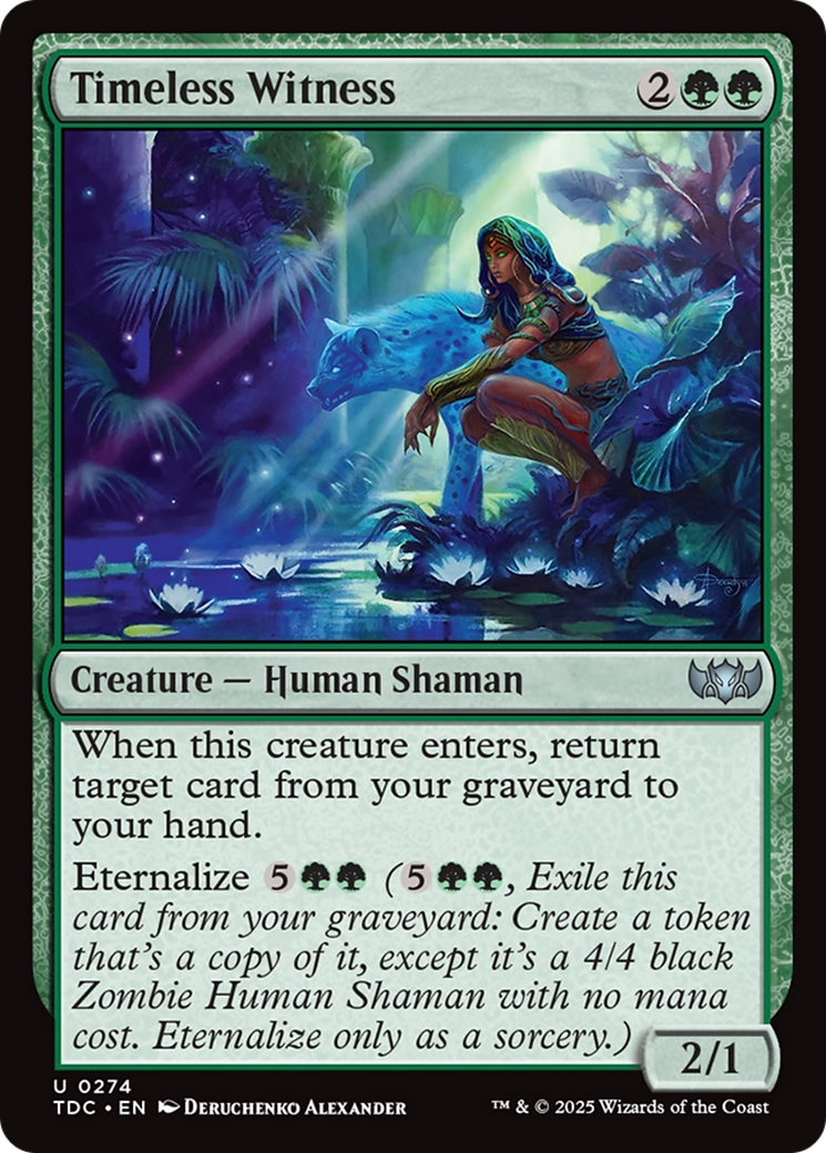 Timeless Witness [Tarkir: Dragonstorm Commander] | Rock City Comics
