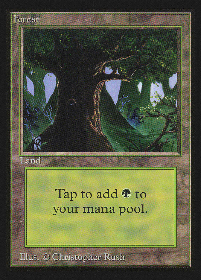 Forest (Eyes in Tree) [Collectors' Edition] | Rock City Comics
