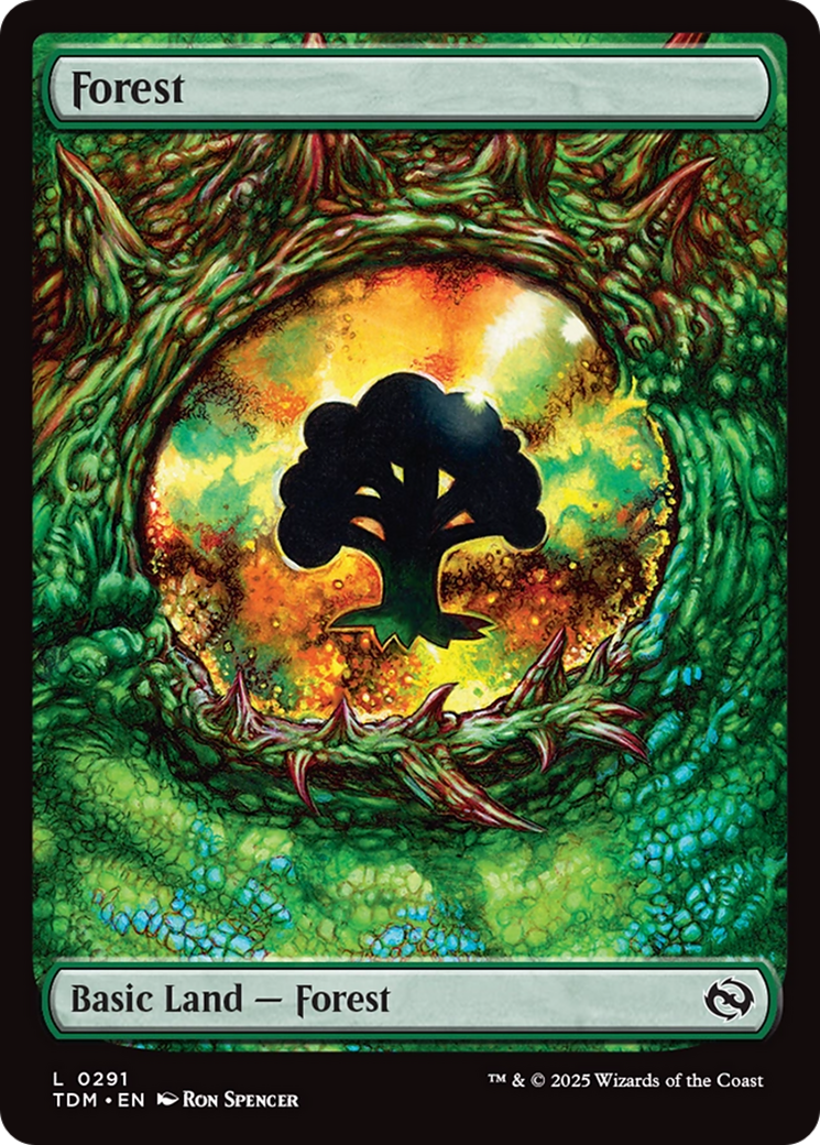 Forest (0291) [Tarkir: Dragonstorm] | Rock City Comics