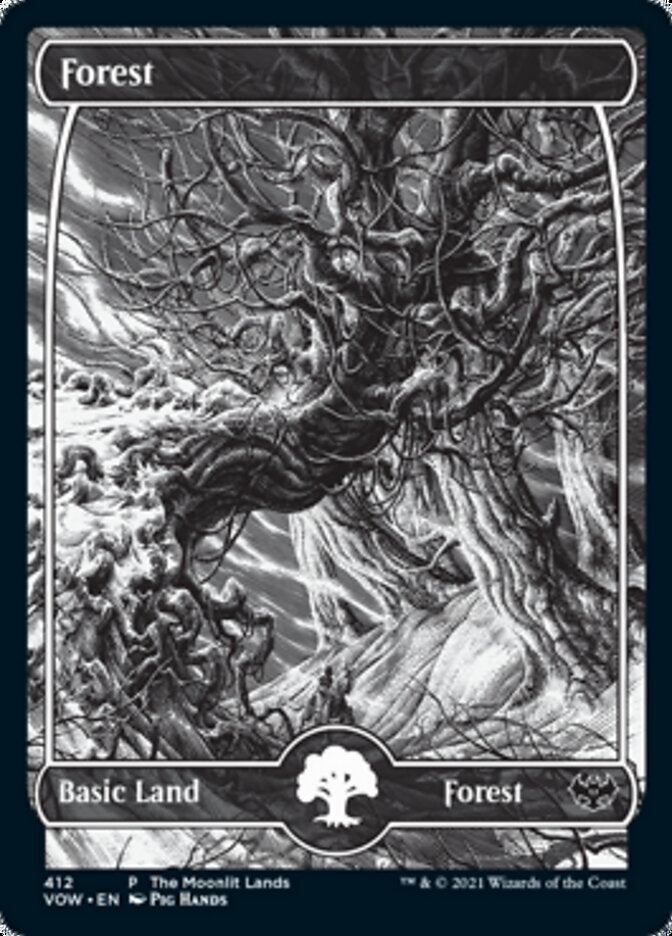 Forest (The Moonlit Lands) (Foil Etched) [Innistrad: Crimson Vow Promos] | Rock City Comics