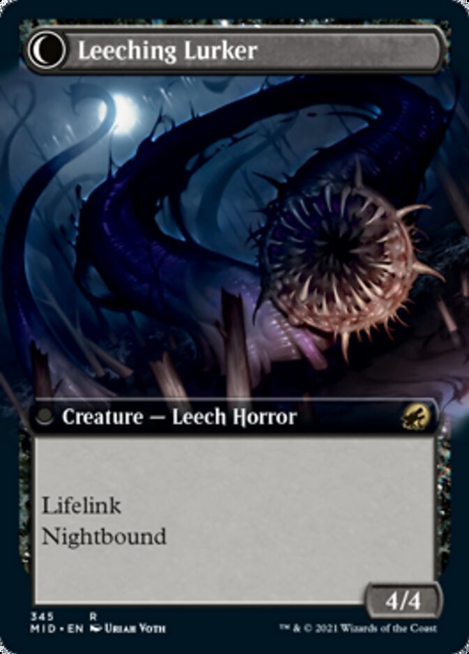 Curse of Leeches // Leeching Lurker (Extended Art) [Innistrad: Midnight Hunt] | Rock City Comics
