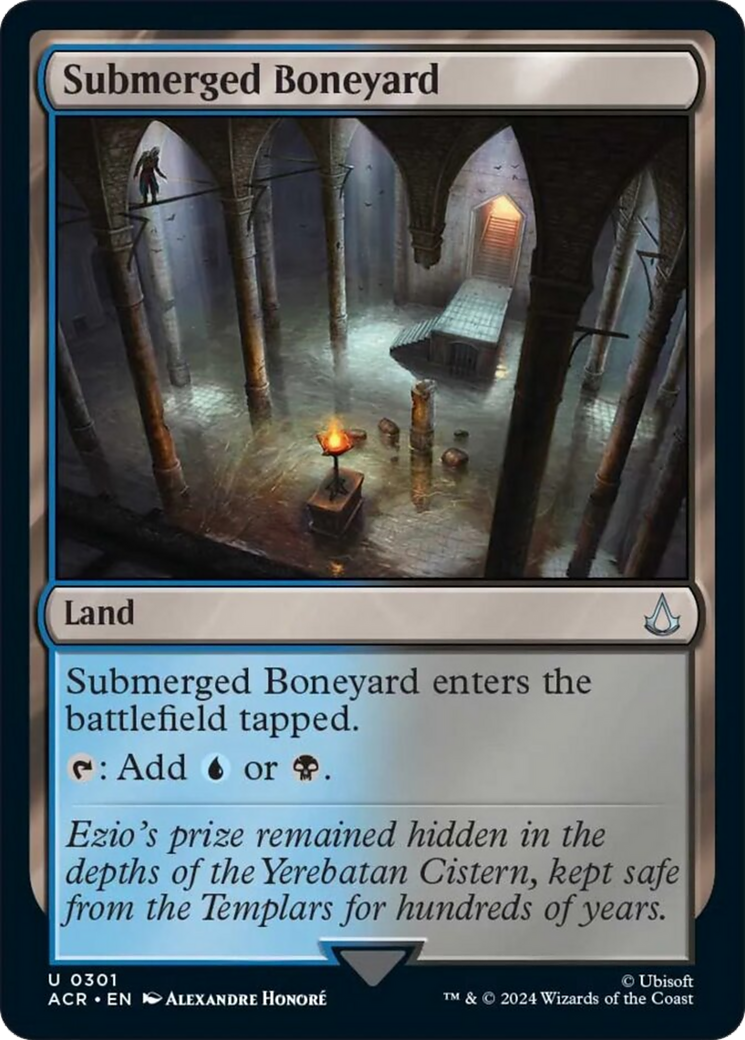 Submerged Boneyard [Assassin's Creed] | Rock City Comics