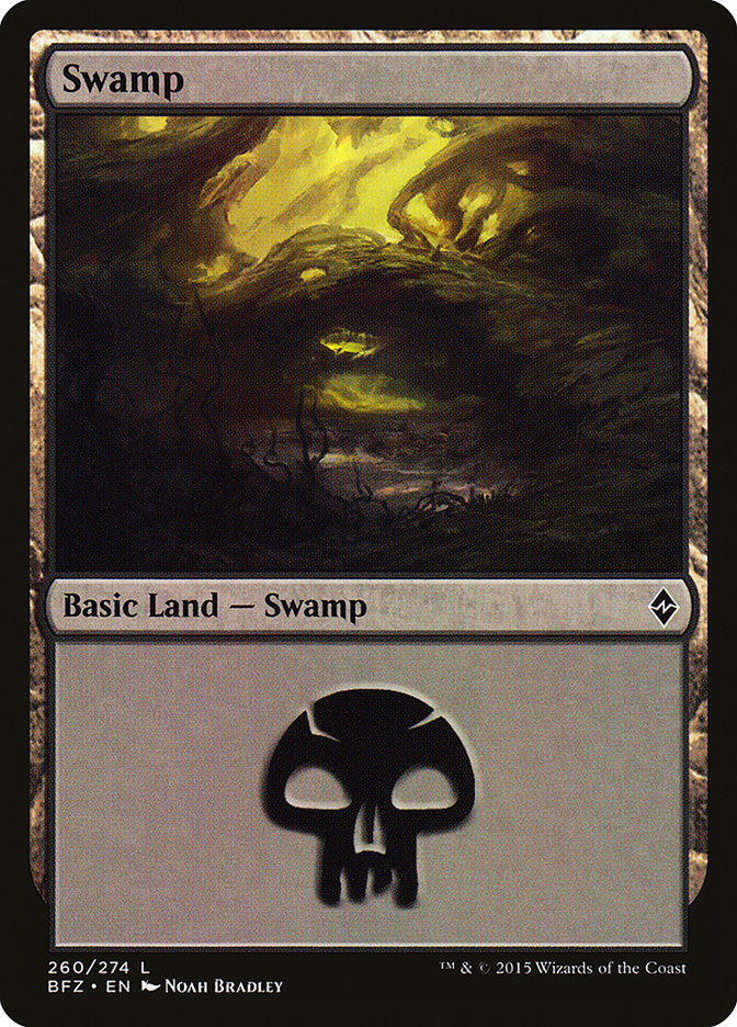 Swamp (260) [Battle for Zendikar] | Rock City Comics