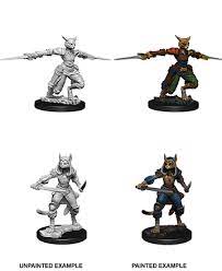 D&D Unpainted Minis: Tabaxi Rogue | Rock City Comics