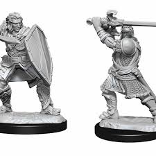 D&D Minifigure: Human Paladin (Male) | Rock City Comics