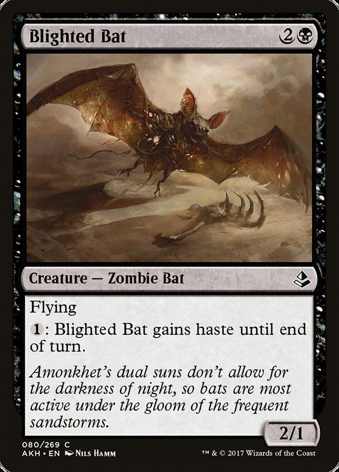 Blighted Bat [Amonkhet] | Rock City Comics