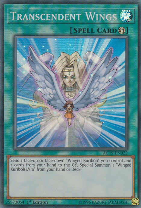 Transcendent Wings [AC19-EN022] Super Rare | Rock City Comics