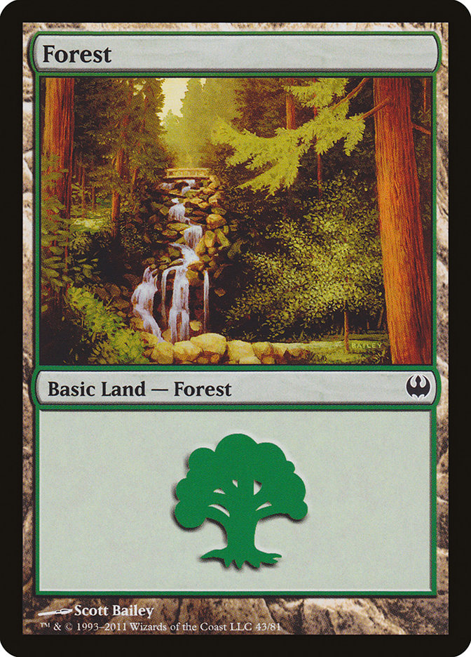 Forest (43) [Duel Decks: Knights vs. Dragons] | Rock City Comics