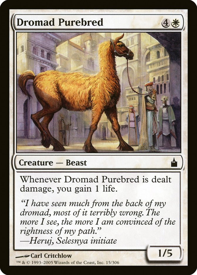 Dromad Purebred [Ravnica: City of Guilds] | Rock City Comics