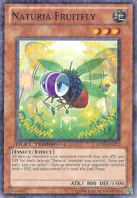 Naturia Fruitfly [DT03-EN071] Common | Rock City Comics