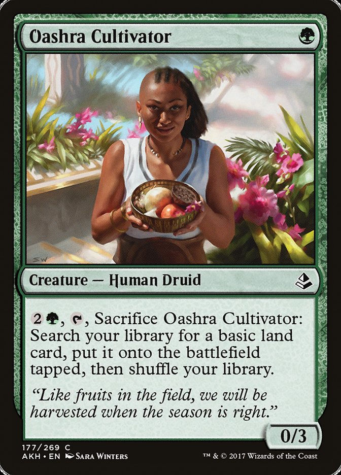 Oashra Cultivator [Amonkhet] | Rock City Comics