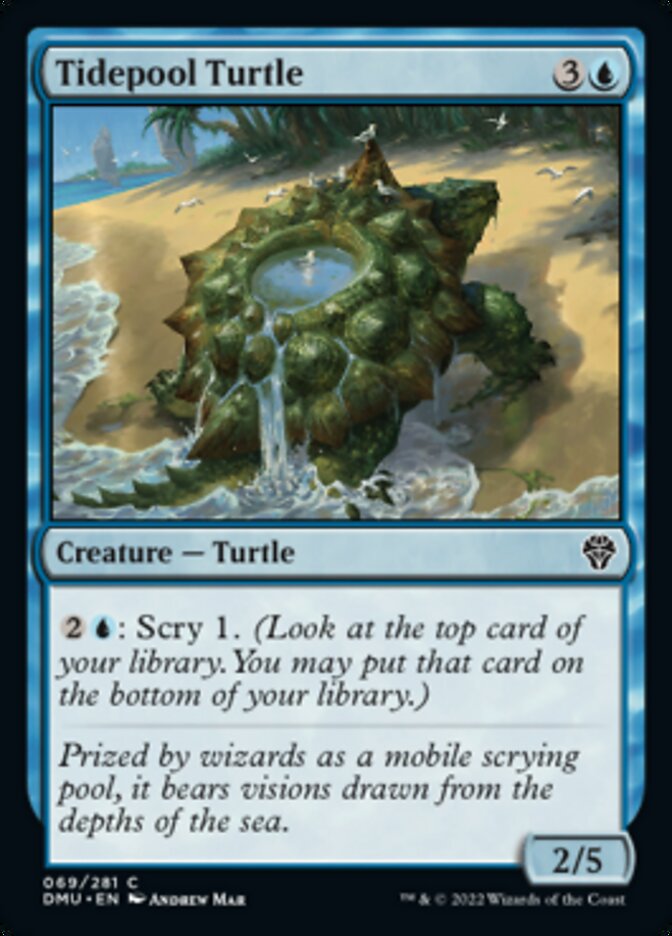 Tidepool Turtle [Dominaria United] | Rock City Comics