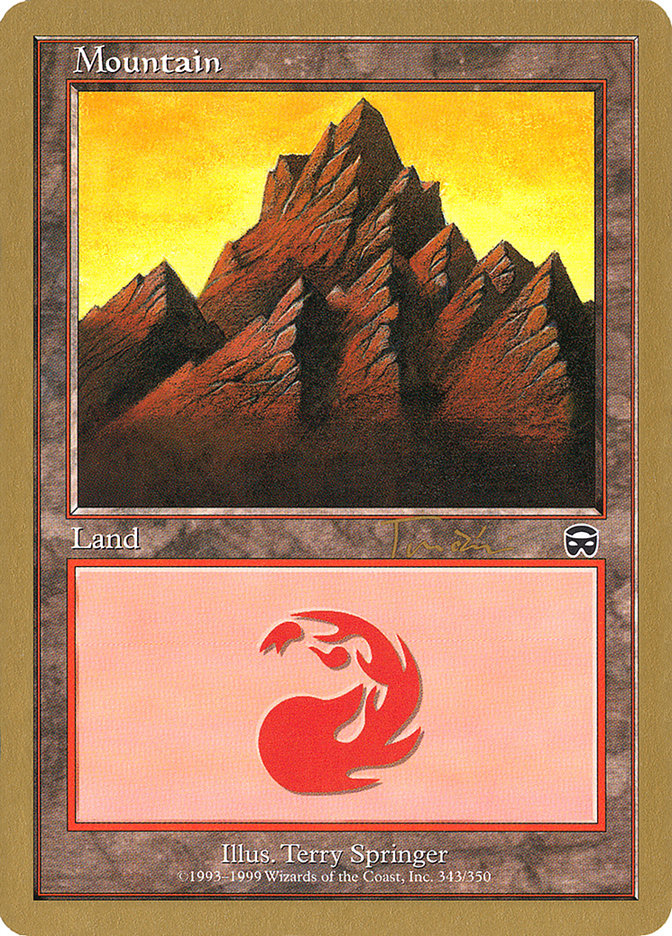 Mountain (jt343) (Jan Tomcani) (MMQ) [World Championship Decks 2001] | Rock City Comics