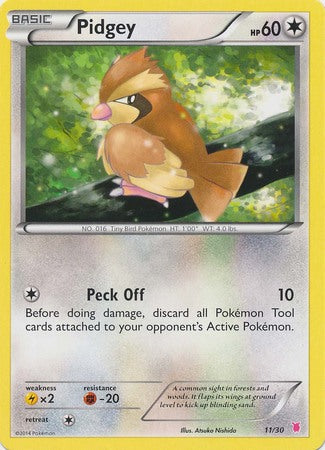 Pidgey (11/30) [XY: Trainer Kit 1 - Wigglytuff] | Rock City Comics