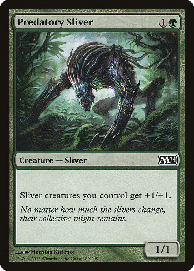 Predatory Sliver [Magic 2014] | Rock City Comics