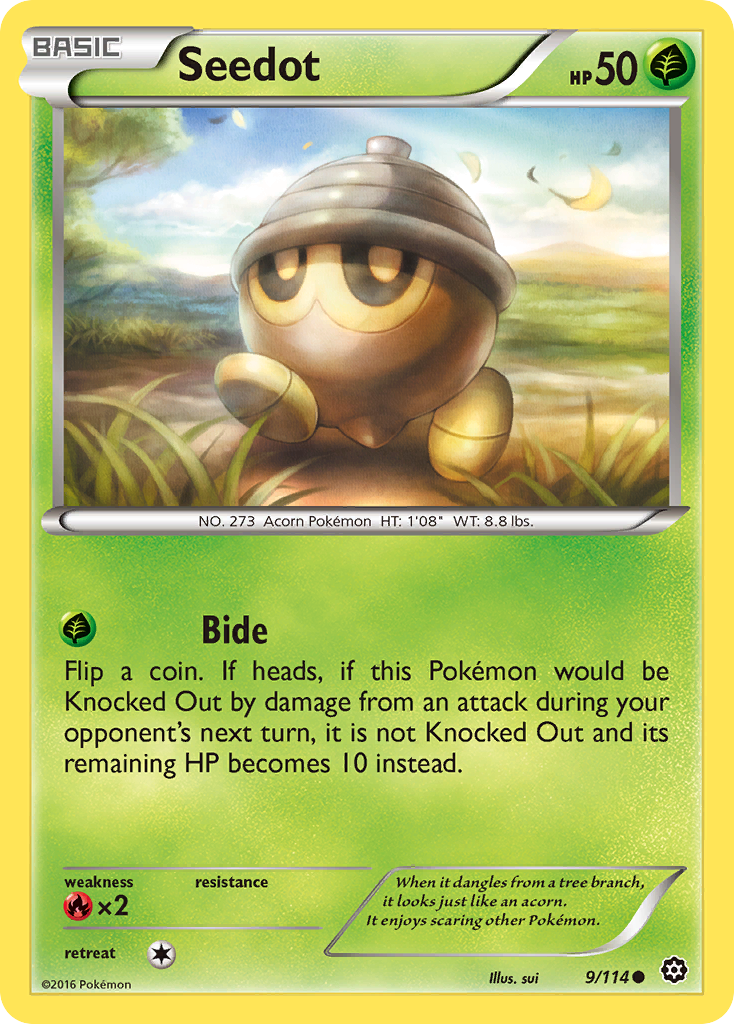 Seedot (9/114) [XY: Steam Siege] | Rock City Comics