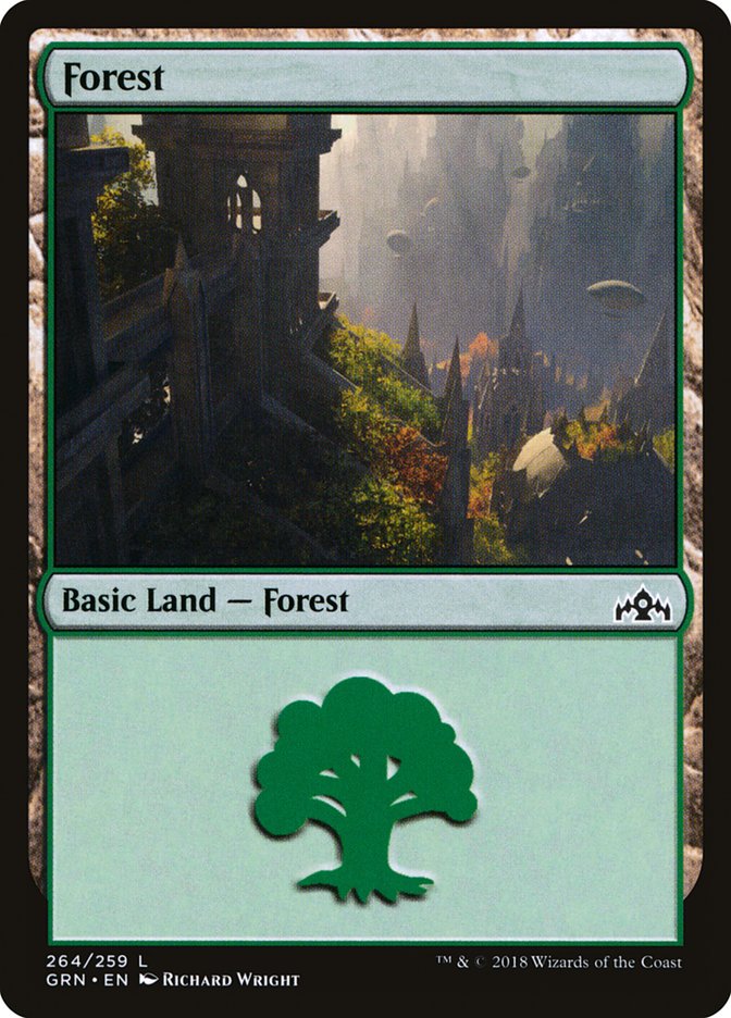 Forest (264) [Guilds of Ravnica] | Rock City Comics