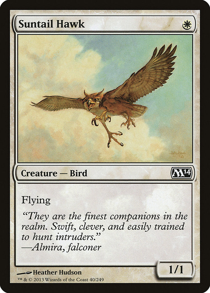 Suntail Hawk [Magic 2014] | Rock City Comics