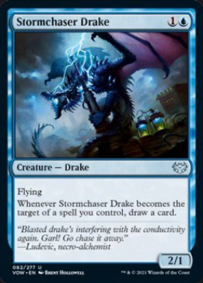 Stormchaser Drake [Innistrad: Crimson Vow] | Rock City Comics