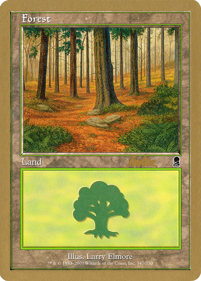 Forest (bk347) (Brian Kibler) [World Championship Decks 2002] | Rock City Comics