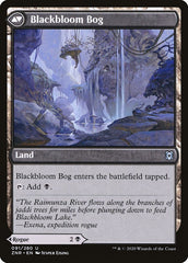 Blackbloom Rogue // Blackbloom Bog [Zendikar Rising] | Rock City Comics