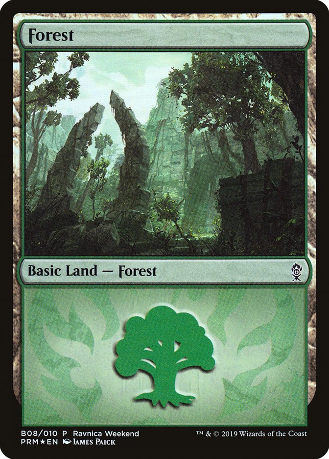 Forest (B08) [Ravnica Allegiance Guild Kit] | Rock City Comics