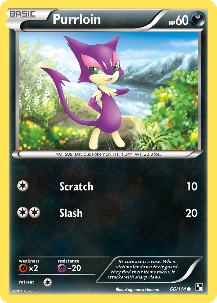 Purrloin (66/114) [Black & White: Base Set] | Rock City Comics