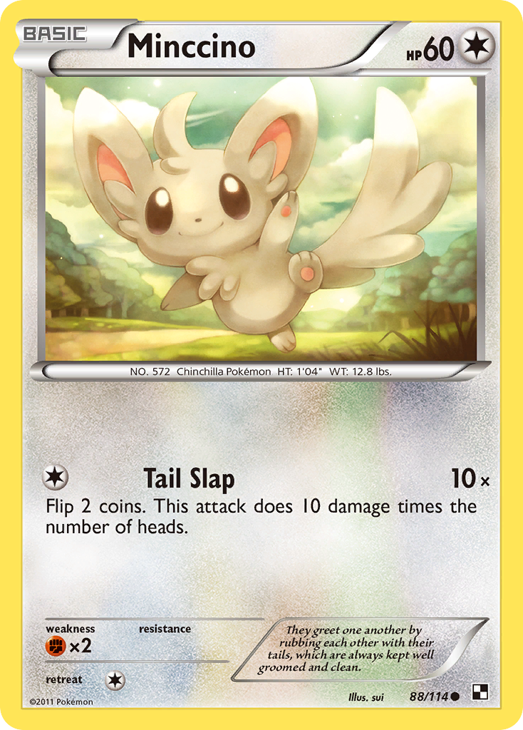 Minccino (88/114) [Black & White: Base Set] | Rock City Comics