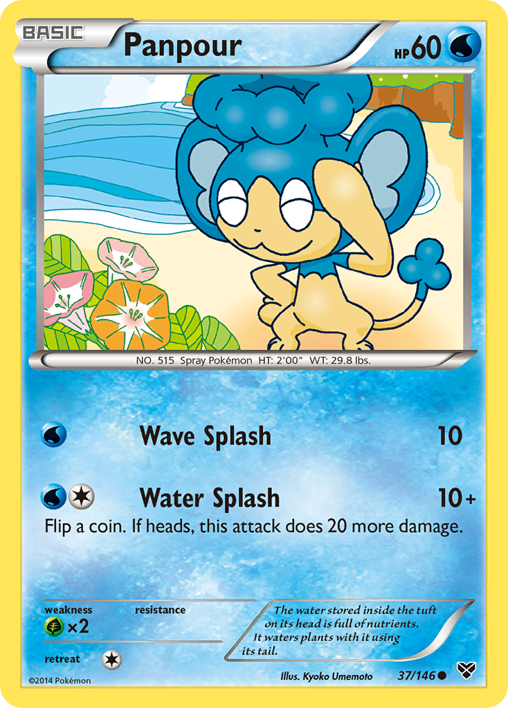 Panpour (37/146) [XY: Base Set] | Rock City Comics