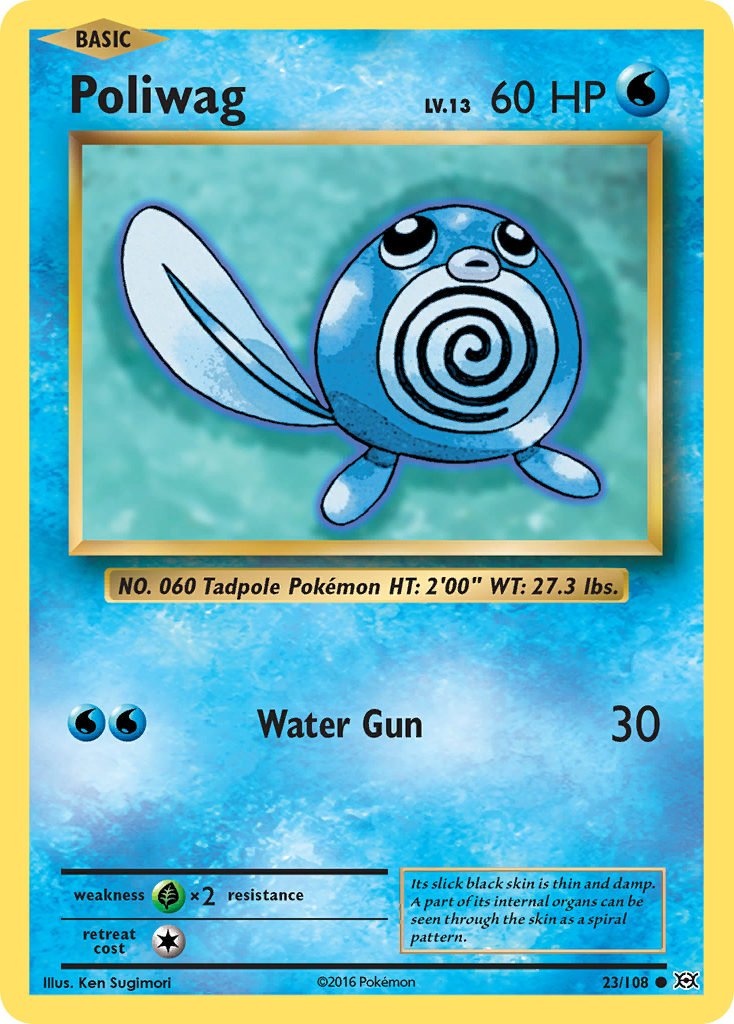 Poliwag (23/108) [XY: Evolutions] | Rock City Comics