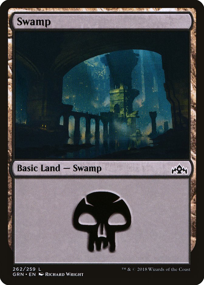 Swamp (262) [Guilds of Ravnica] | Rock City Comics