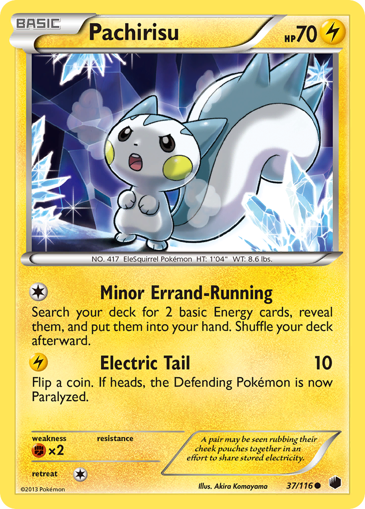 Pachirisu (37/116) [Black & White: Plasma Freeze] | Rock City Comics